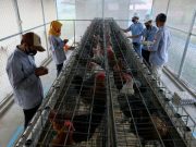 Edupark, Model Pengembangan Ekonomi Sirkular Membawa Semen Gresik Juarai BCOMMS 2022