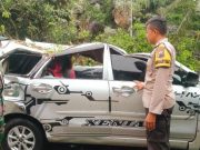 Duh, Bodi Xenia Ringsek Tertimpa Pohon Setinggi 30 Meter