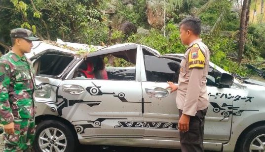 Duh, Bodi Xenia Ringsek Tertimpa Pohon Setinggi 30 Meter