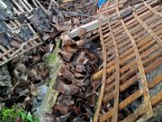 Longsor di Bulukerto Wonogiri, Rumah Warga Rusak Jaringan Listrik Putus