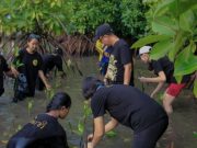 Roemah Martha Tilaar dan Sanggar Tari Dhea Tanam Bibit Mangrove di Pedalen
