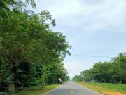 Jalan Pansela Kebumen, Moncer Jadi Jalur Wisata, Kuliner dan Agro (2)
