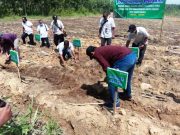 Perhutani Bersama PG Rendeng Kudus Lakukan Penanaman Agroforestry Tebu Mandiri di Mantingan