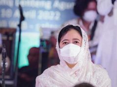 Pengamat : DPR Harus Tegas Pada Pemerintah Soal MiGor