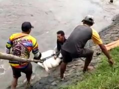 Mayat Lelaki Bertato Kepala Naga Ditemukan di Sungai Pemali Tegal