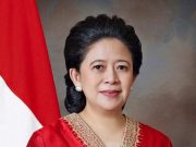 Pakar Komunikasi Politik : Puan Punya Modal Kuat Untuk Menjadi Pemimpin