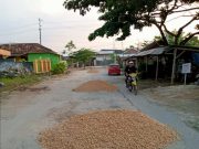 Warga Jepon Perbaiki Jalan ke Seloparang Saweran Secara Mandiri Tak Menunggu Bantuan Pemerintah