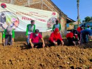 Mbak Ita Tanam Singkong Bersama Petani Milenial Kampung Organik Wonolopo