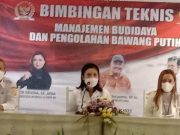 Vita Ervina : Petani Wonosobo Perlu Kembangan Budidaya Bawang Putih