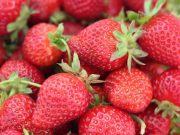 Penasaran Manfaat Buah Strawberry, Simak Yuk..