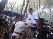 Bupati Kebumen Populerkan Wisata Sapi di Pantai Laguna Mirit