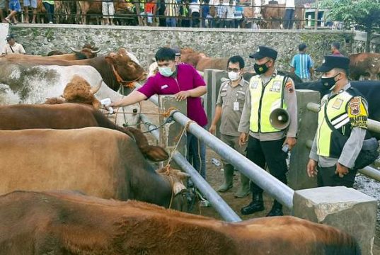 Antisipasi PMK, Tim Gabungan Turun ke Pasar Hewan Pracimantoro Wonogiri