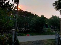 Peran Kepedulian Lingkungan dalam Memediasi Pengaruh Green Marketing