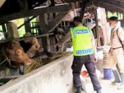 Ini Alasan Polisi Wonogiri Proaktif Membantu Pencegahan PMK