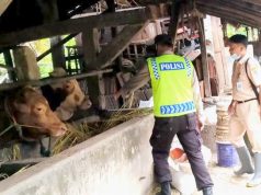 Ini Alasan Polisi Wonogiri Proaktif Membantu Pencegahan PMK