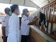 Bupati Kudus Instruksikan Pengawasan Hewan Ternak dari Luar Daerah Diperketat