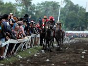 Pacuan Kuda Ambal Mampu Gerakkan Ekonomi Rakyat