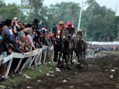 Pacuan Kuda Ambal Mampu Gerakkan Ekonomi Rakyat