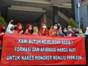Nakes Honorer di Brebes Tuntut Diangkat jadi PPPK