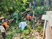 Lebaran Kedua, Dua Rumah Rusak Tertimpa Pohon Pete