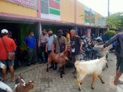 Petugas Gabungan di Blora Razia Sapi dan Kambing Yang Akan Dijual di Pasar Hewan Randublatung
