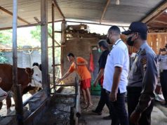 Polresta Surakarta dan Dinas Ketahanan Pangan Sidak Pasar Hewan Antisipasi wabah PMK