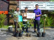 Jaga Kelestarian Tempur PLN UIK Tanjung Jati B Bantu Ratusan Bibit Pohon Beringin dan Karet