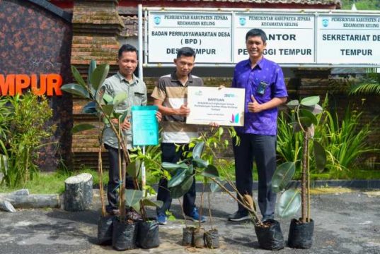 Jaga Kelestarian Tempur PLN UIK Tanjung Jati B Bantu Ratusan Bibit Pohon Beringin dan Karet