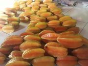 Belimbing Welahan yang Lezat Mengapa Lebih Dikenal di Demak ?
