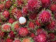 Lima Manfaat Buah Rambutan Bagi Kesehatan, Salah Satunya Dapat Turunkan Berat Badan