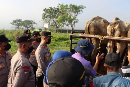 Antisipasi PMK, Polres dan Dinas Pertanian Klaten Sambangi Lima Pasar Hewan