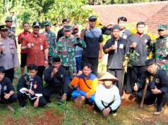 Di Manyaran Wonogiri, Penghijauan dengan Tanaman Eucalyptus