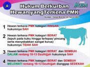 Di Saat PMK Mewabah, Ini Panduan Hukum Berkurban yang Sah