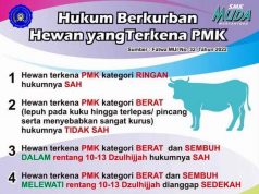 Di Saat PMK Mewabah, Ini Panduan Hukum Berkurban yang Sah