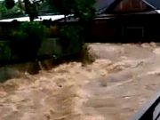 Hujan Deras di Wonogiri, Memicu Terjadinya Banjir dan Pohon Tumbang