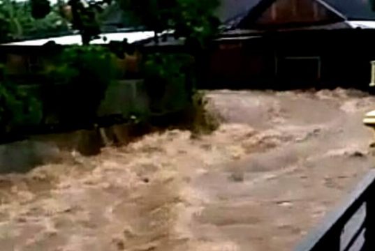 Hujan Deras di Wonogiri, Memicu Terjadinya Banjir dan Pohon Tumbang