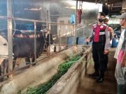 Polres Tegal Kota Pantau Peternak dan Pedagang Hewan
