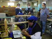 Pemerintah Larang Jual Rokok Ketengan, Ini Tanggapan Perusahaan Rokok Kudus