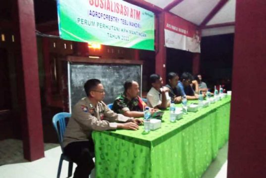 Perhutani Mantingan Sosialisasi Agroforestry Tebu Mandiri di Desa Nglangitan Blora