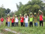 BUMDes Maju Mapan Luncurkan Agrowisata Petik Buah Semangka Madu dan Inul di Desa Bangsri Jepon