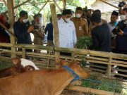 Wagub Jateng Luncurkan Vaksinasi PMK di Jepangrejo Blora