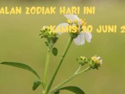 Ramalan Zodiak Hari ini Kamis 30 Juni 2022 Aquarius Manfaatkan Waktu Luang, Pisces Lebih Berhati-hati