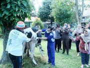 Pemkot Magelang Mulai Vaksinasi Hewan Ternak