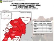 Terduga Sapi di Jepara Terjangkit PMK Terus Bertambah