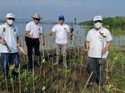 USM-Djarum Foundation Tanam 3.000 Bibit Pohon Mangrove , Prof Sudharto: Ini Bukti Kecintaan Kita kepada Bumi