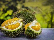 Manfaat Buah Durian Bagi Kesehatan Salah Satunya Dapat Mengatasi Insomnia