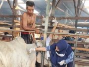 PMK Mulai Masuk Kota Tegal