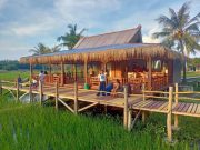 Viral, The Happinezz Ricefields, Obyek Wisata Sawah di Karimunjawa