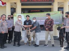 Polres Kebumen Berikan Hewan Kurban ke PWI dan Pondok Pesantren