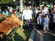 Bupati Blora Serahkan Kurban Sapi